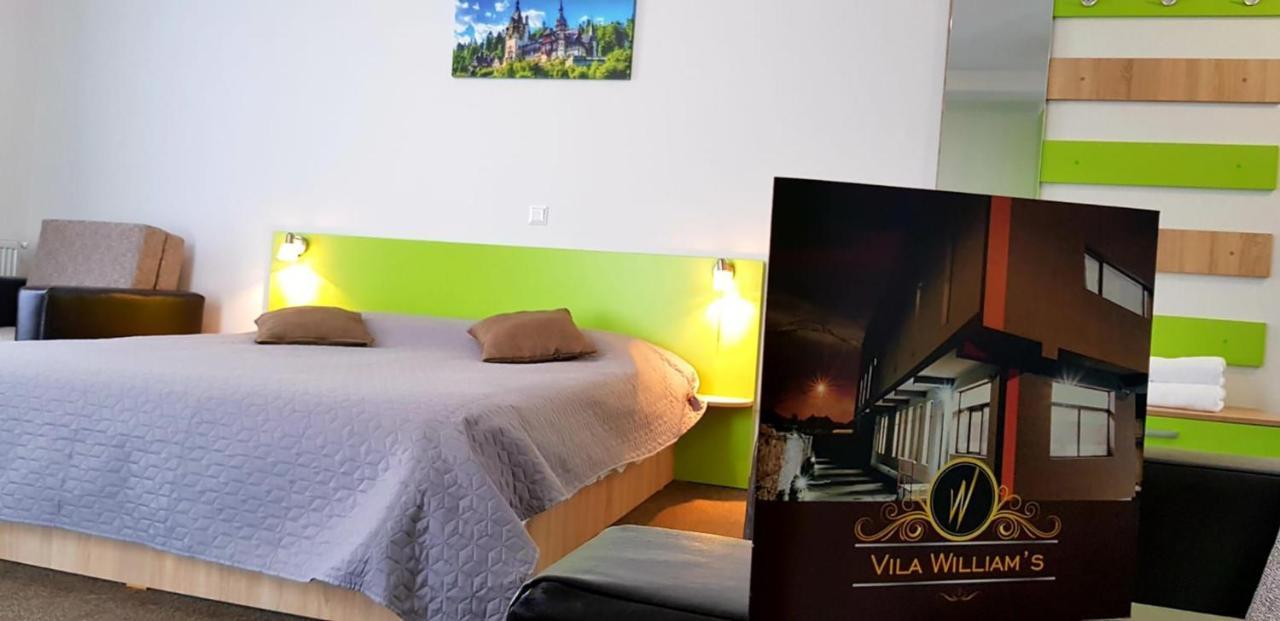 Vila William'S Braşov Exterior foto